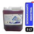 Desengrasante Industrial 5L Vital Clean