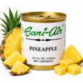 Aromatizante Sani-Air Pineapple lata hogar - Puro Brillo